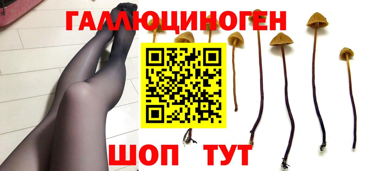 Зеленодольск  Галлюциногенные грибы Magic Shrooms  Вход с VPN 